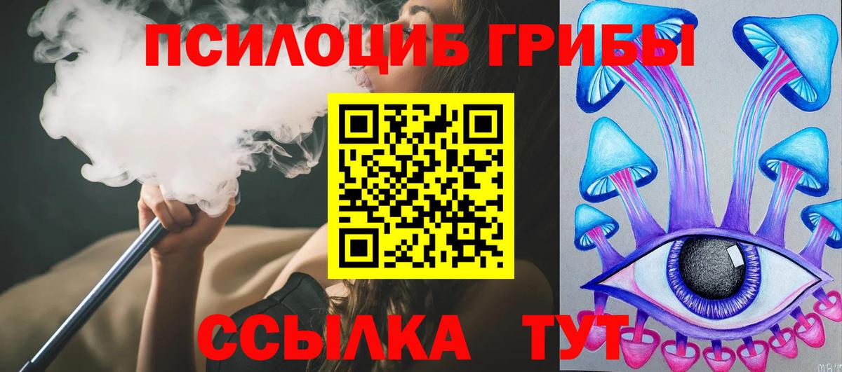 сколько стоит  Псилоцибиновые грибы Cubensis  Вход с VPN  Карабулак 