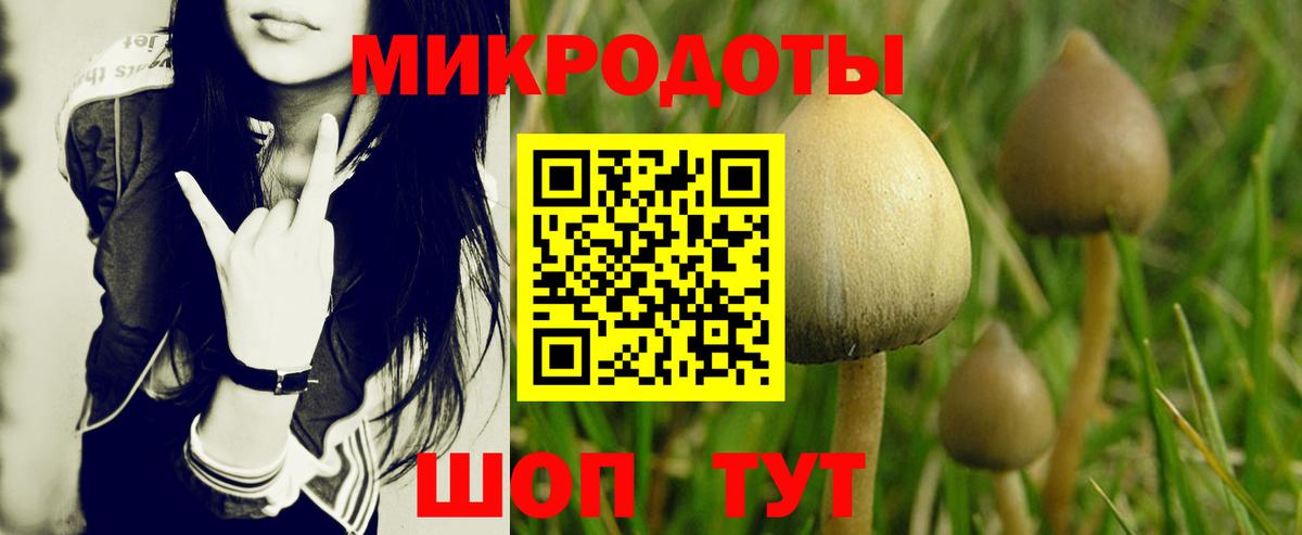 Псилоцибиновые грибы Magic Shrooms Карабулак